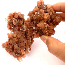 Load image into Gallery viewer, Aragonite Clusters
